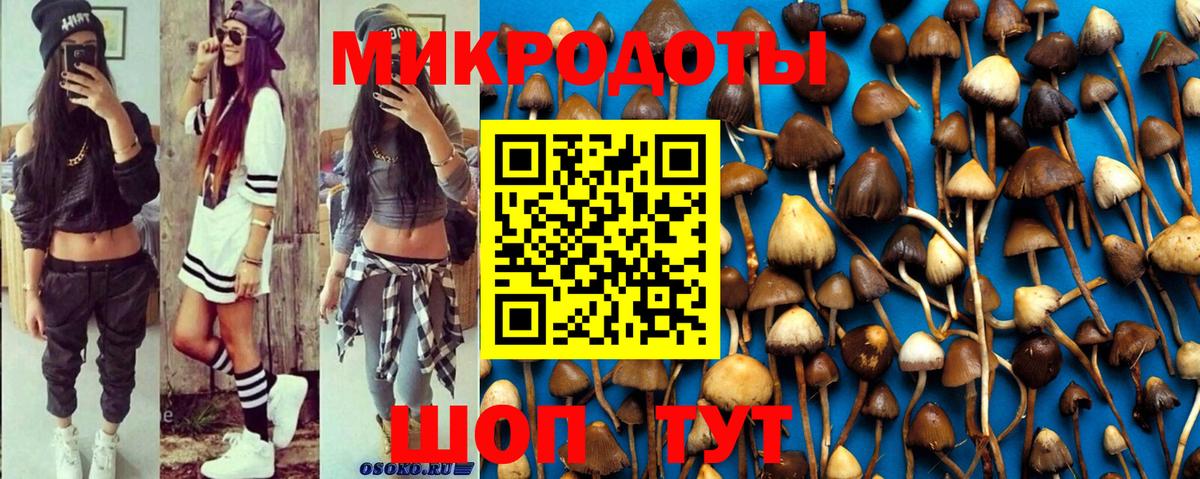 Галлюциногенные грибы мицелий Торжок